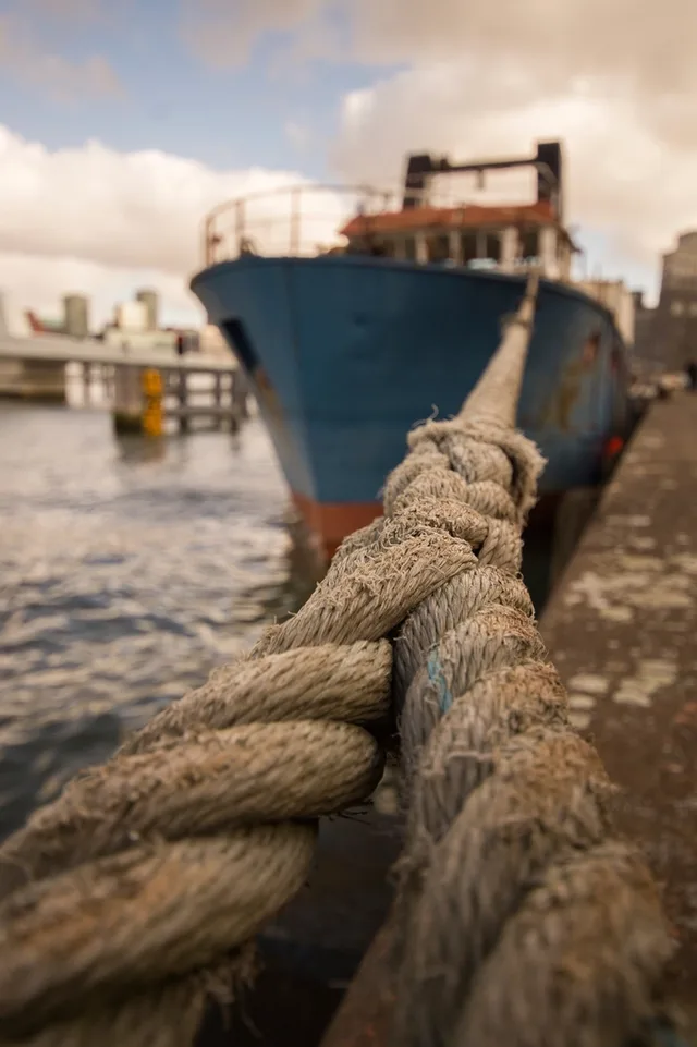Photographie — Le quai & la salle 29 — Agrandir